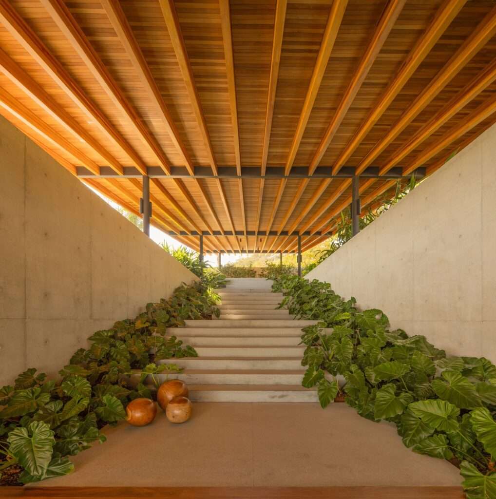 A set of wide, concrete stairs leading up towards a large, open-air timber structure and ceiling.