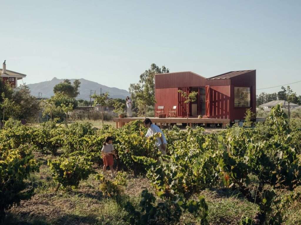 Wide shot of a family walking through lush green vineyard rows with the red prefab Root Cabin by Kasawoo in the background under a clear blue sky.