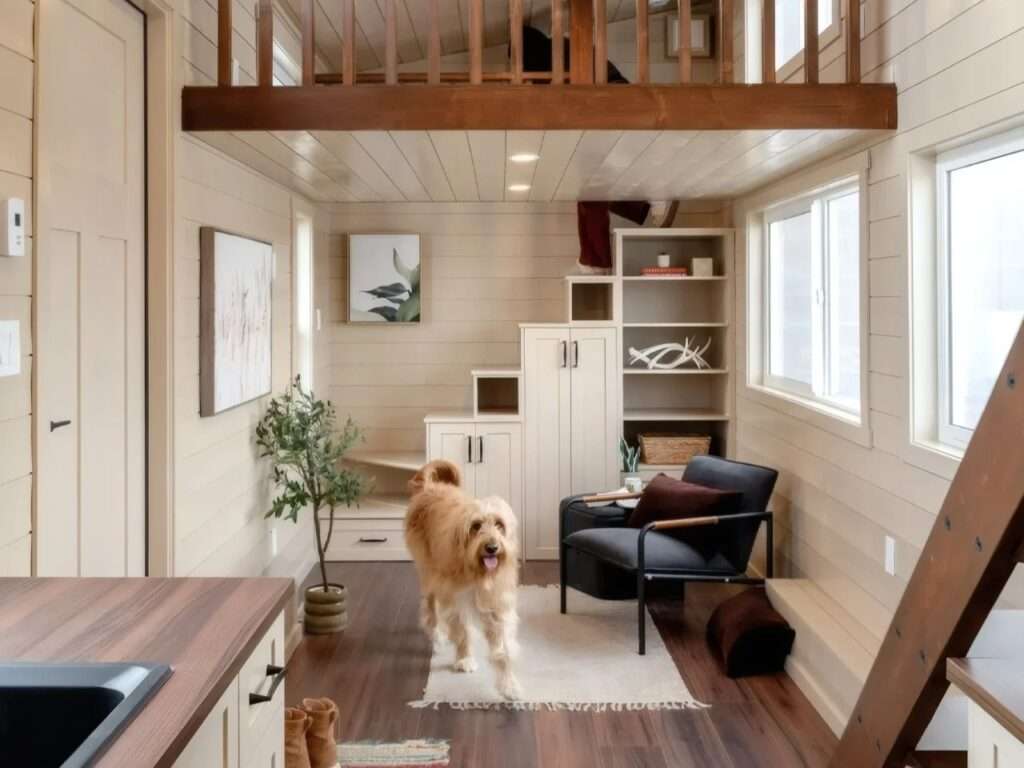 A fluffy golden dog standing in the center of the Ruby tiny home living room, showcasing the seating area, white storage stairs, and an overhead wooden loft railing.