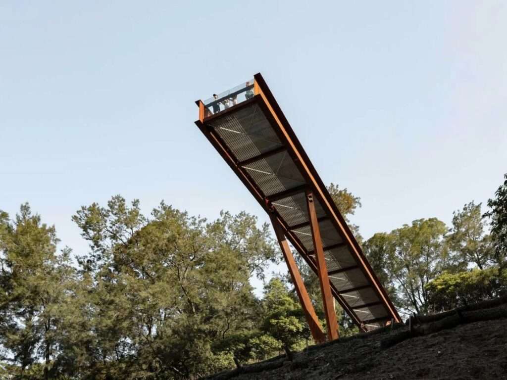 Side view of the Southern Lookout platform extending over a steep, forested slope supported by angled steel pillars.