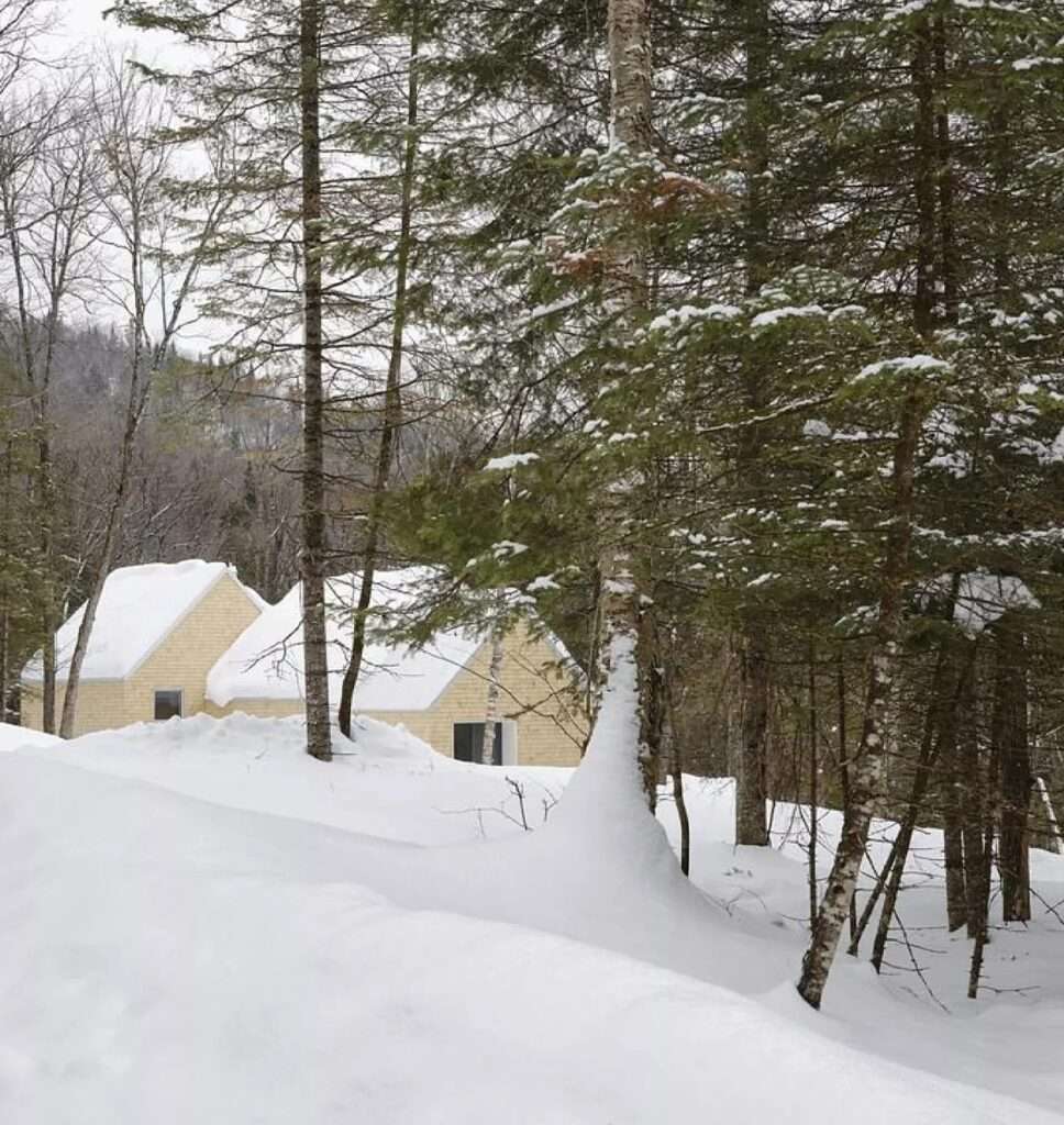 The La Maraude house partially hidden behind evergreen trees in a thick winter forest.