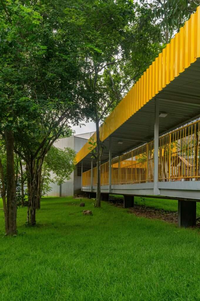 An elevated pedestrian bridge with a bright yellow corrugated metal roof and yellow railings cutting through a lush green forest park.
