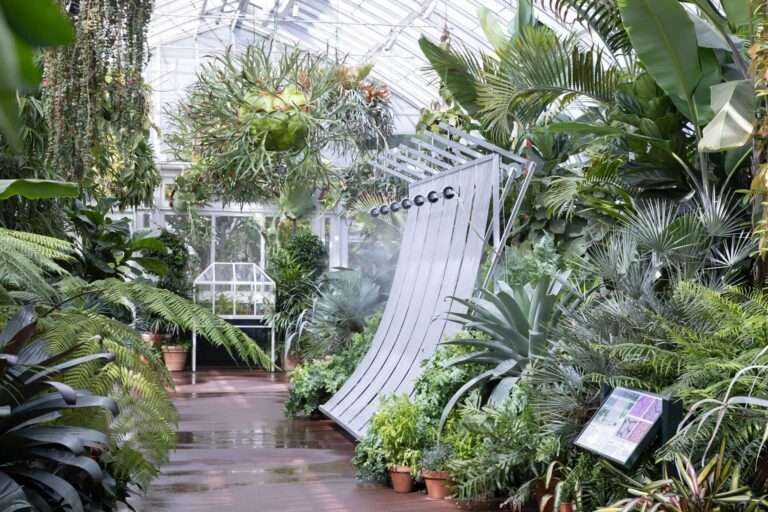 An aluminum climate device installation positioned along a pathway inside a lush glass conservatory filled with tropical plants.