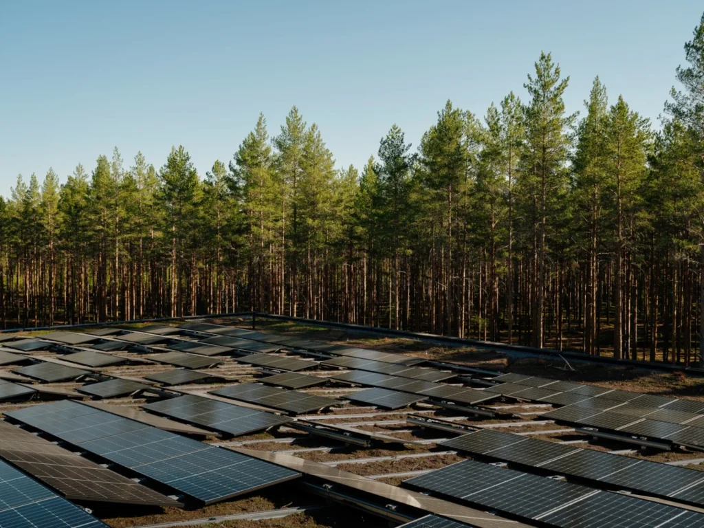 Angled photovoltaic solar panels installed on a green roof next to a dense forest edge.