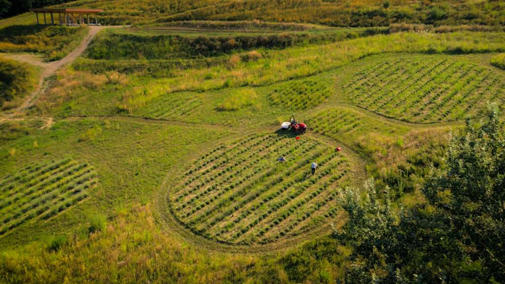 Top-down aerial view of circular agricultural plots being managed by workers.