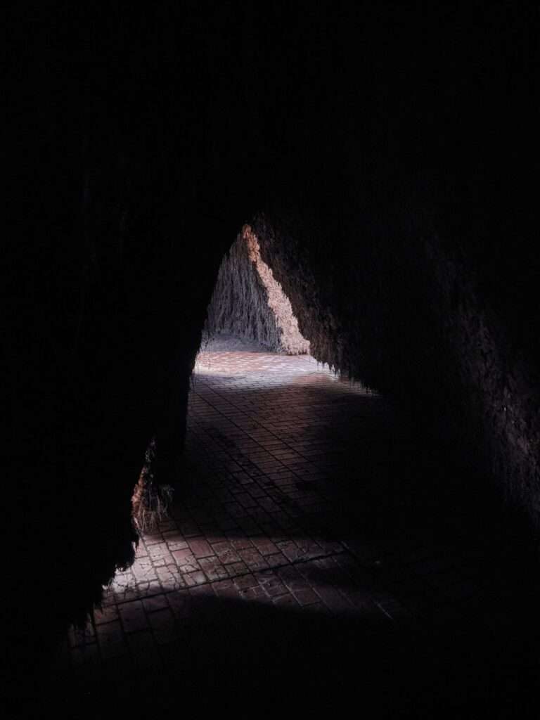 View from inside a dark, narrow earthen tunnel looking toward a sunlit opening.