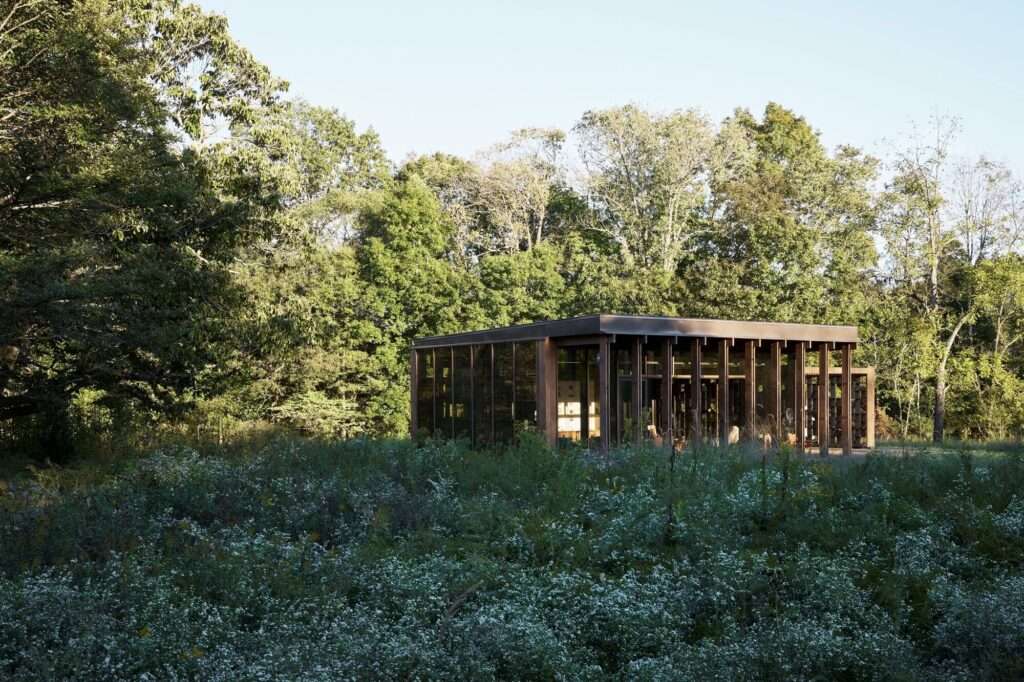 Daytime exterior view of the Rock Pavilion, showcasing its dark Douglas fir timber columns and glass facade nestled within wild green foliage and trees under a clear sky.