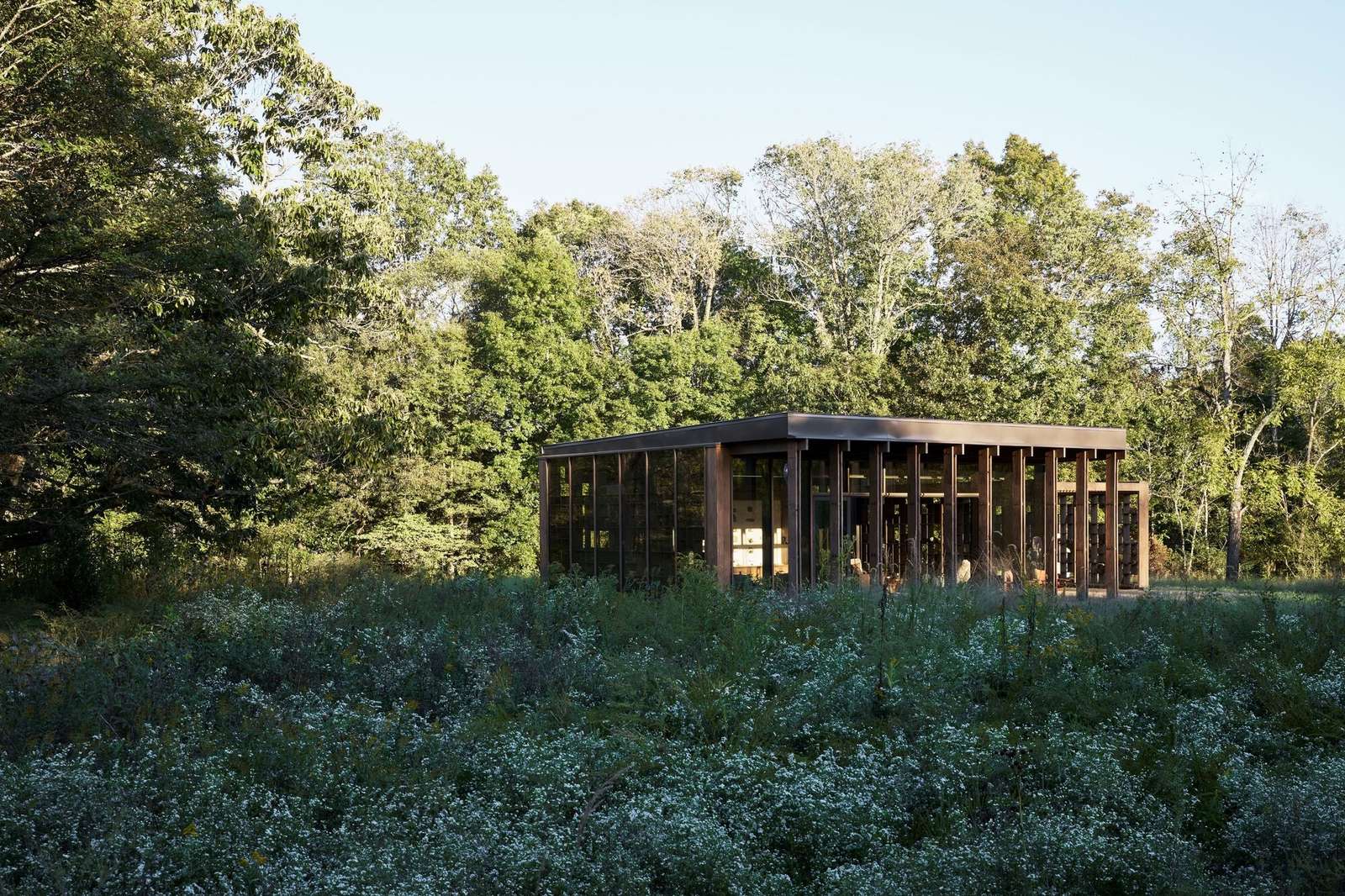 Daytime exterior view of the Rock Pavilion, showcasing its dark Douglas fir timber columns and glass facade nestled within wild green foliage and trees under a clear sky.