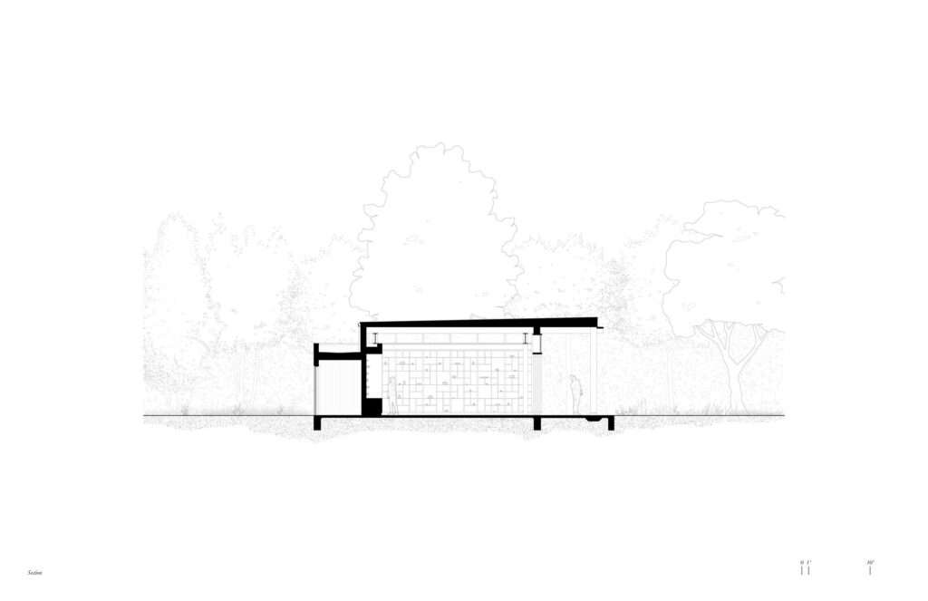 Architectural cross-section line drawing of the Rock Pavilion, showing the structural roof slope, hidden mechanical systems, internal display grid, and surrounding tree heights.