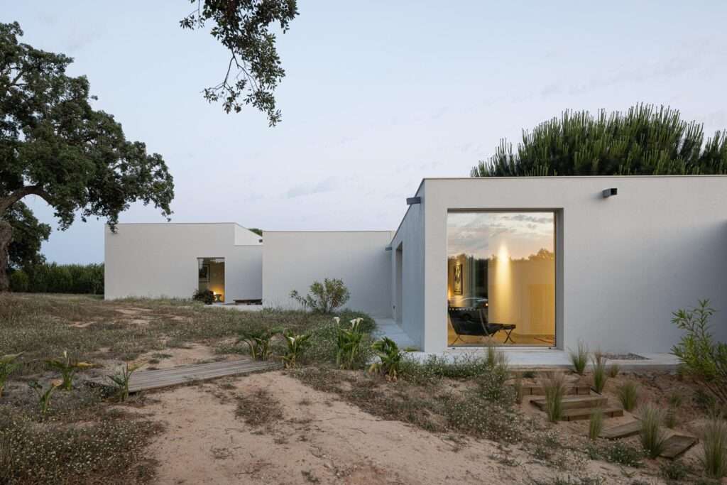 Minimalist white exterior wall of Melides House in Alentejo with large glass windows, integrated olive trees, and a vintage car parked on a gravel driveway under a blue sky.