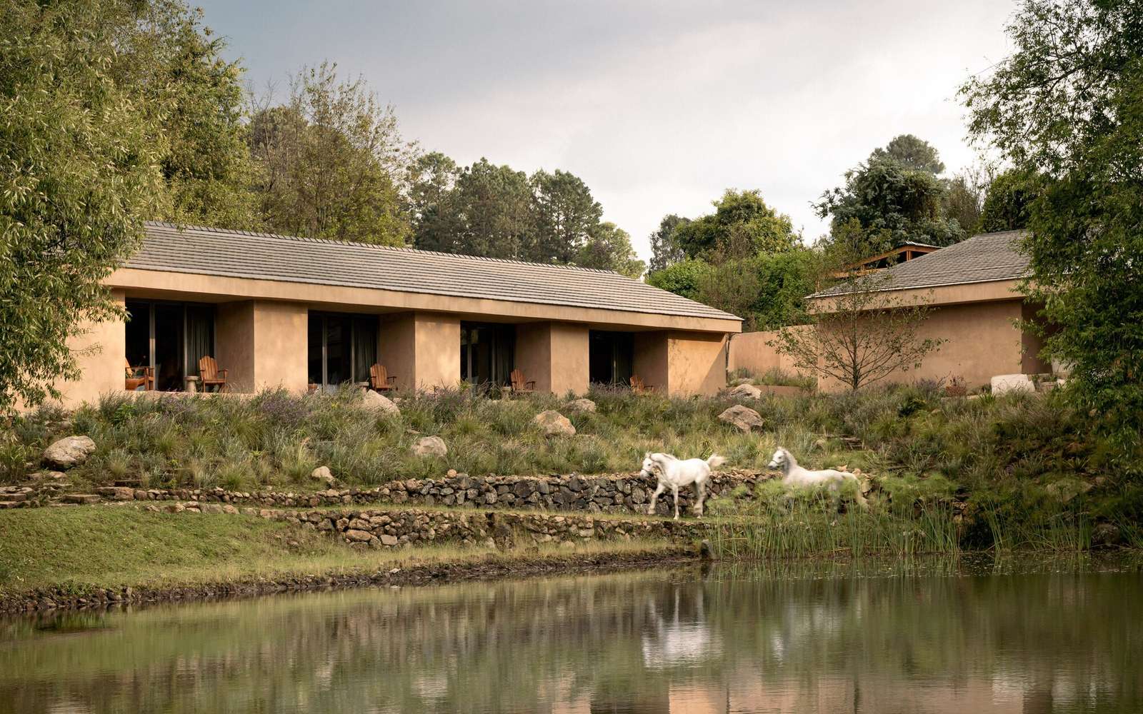 Minimalist monolithic plastered structures with wooden doors separated by a gravel path and wild vegetation at Rancho CP.