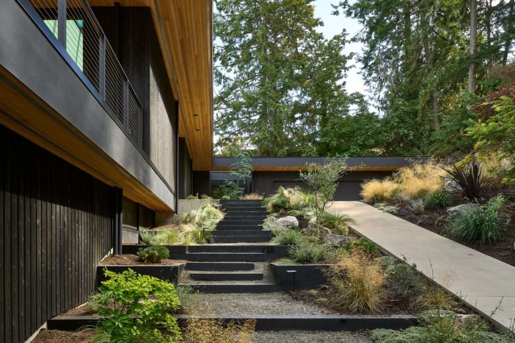 Stone steps and concrete ramp integrated into a lush sloped landscape leading to the Layer House entrance.