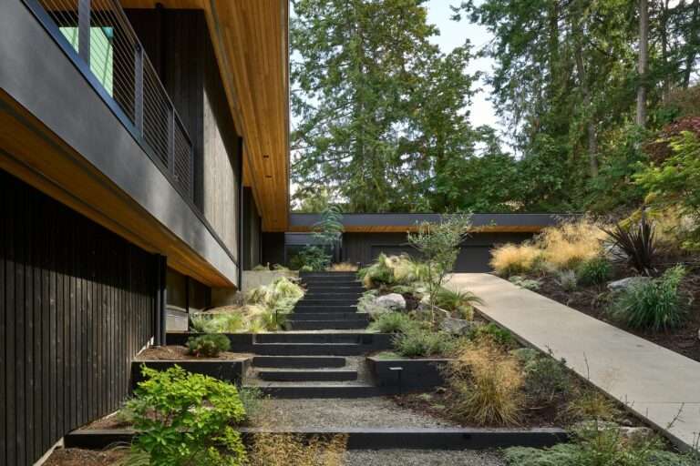 Stone steps and concrete ramp integrated into a lush sloped landscape leading to the Layer House entrance.