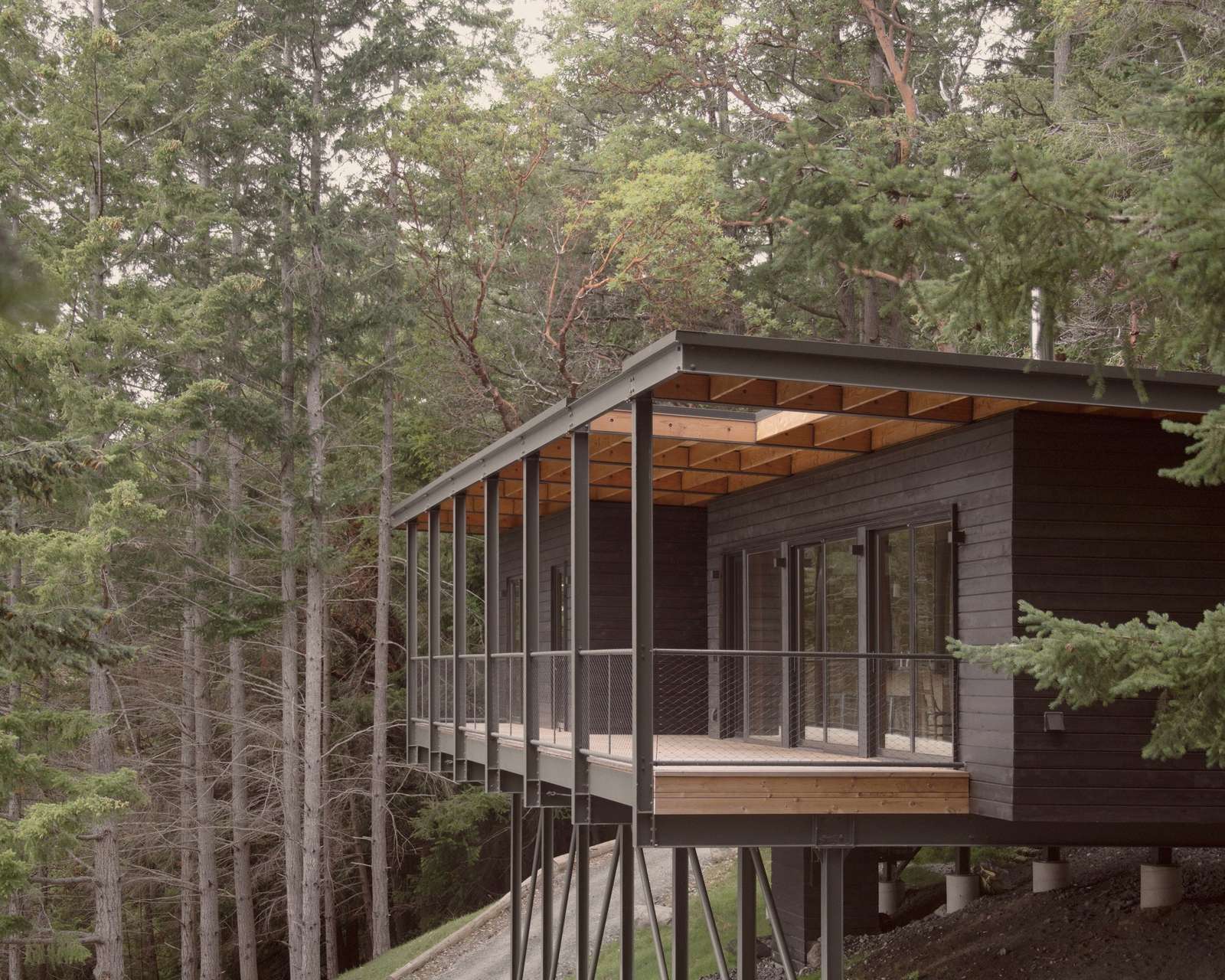 Side view of Trestle Cabin showing a dark wood modular volume suspended on a steel framework over a forested slope, with a deep wooden balcony roof.