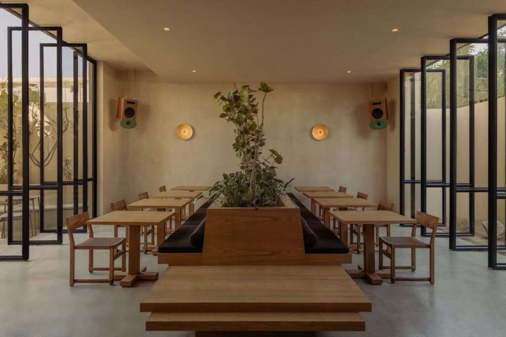 Symmetric interior view of Gamba Cafe dining space with custom wooden tables, woven chairs, a central wooden planter with green foliage, and open black steel pivot doors.