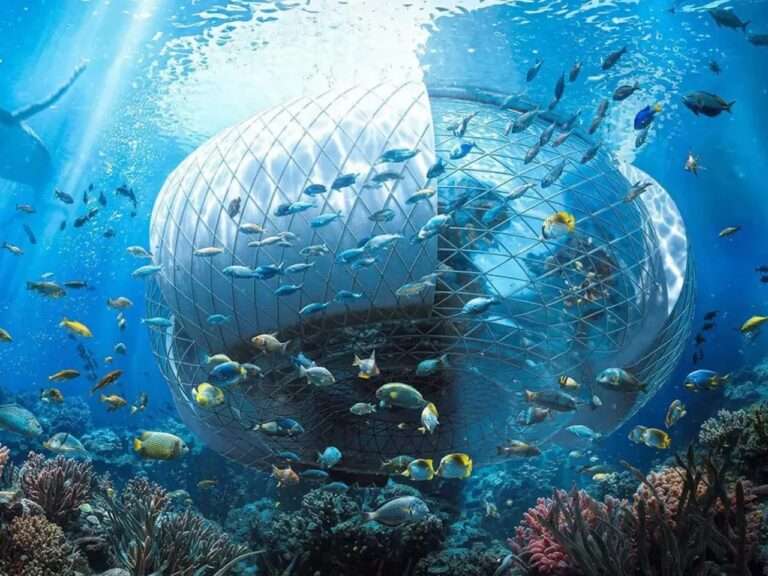 Underwater view of a spherical parametric geodesic cage structure submerged in a vibrant coral reef ecosystem filled with fish.