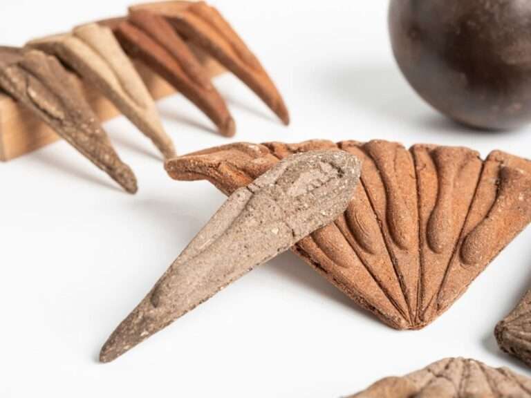 Close-up shot of individual wedge-shaped organic seed pods and a fan-like structure from the Terra Seeds project made of local compressed soil and tapioca starch on a white background.