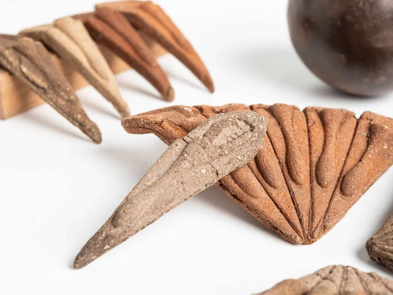 Close-up shot of individual wedge-shaped organic seed pods and a fan-like structure from the Terra Seeds project made of local compressed soil and tapioca starch on a white background.