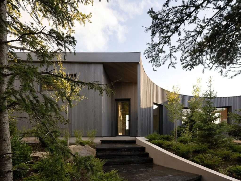 Curved gray acacia wood exterior wall and main entrance of Cut Out House surrounded by dense evergreen trees.