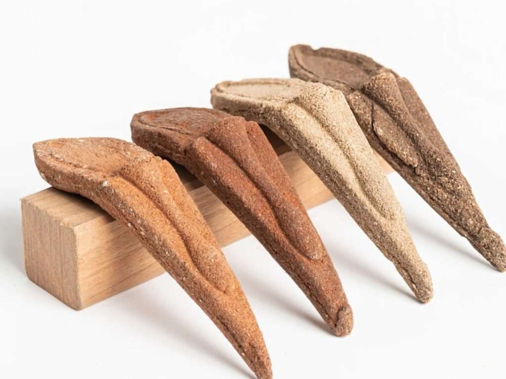 Four elongated, pointed organic seed pods displaying different natural earth tones resting on a small wooden block over a clean white background.