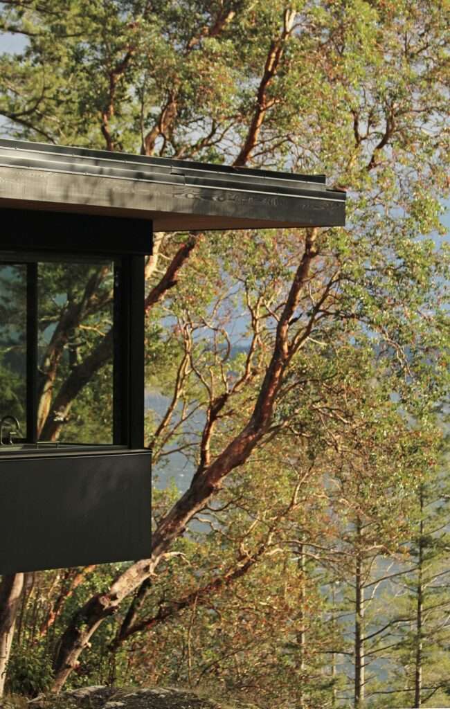 Architectural close-up of the black metal roofline and window framing of Hilltop House reflecting arbutus trees.