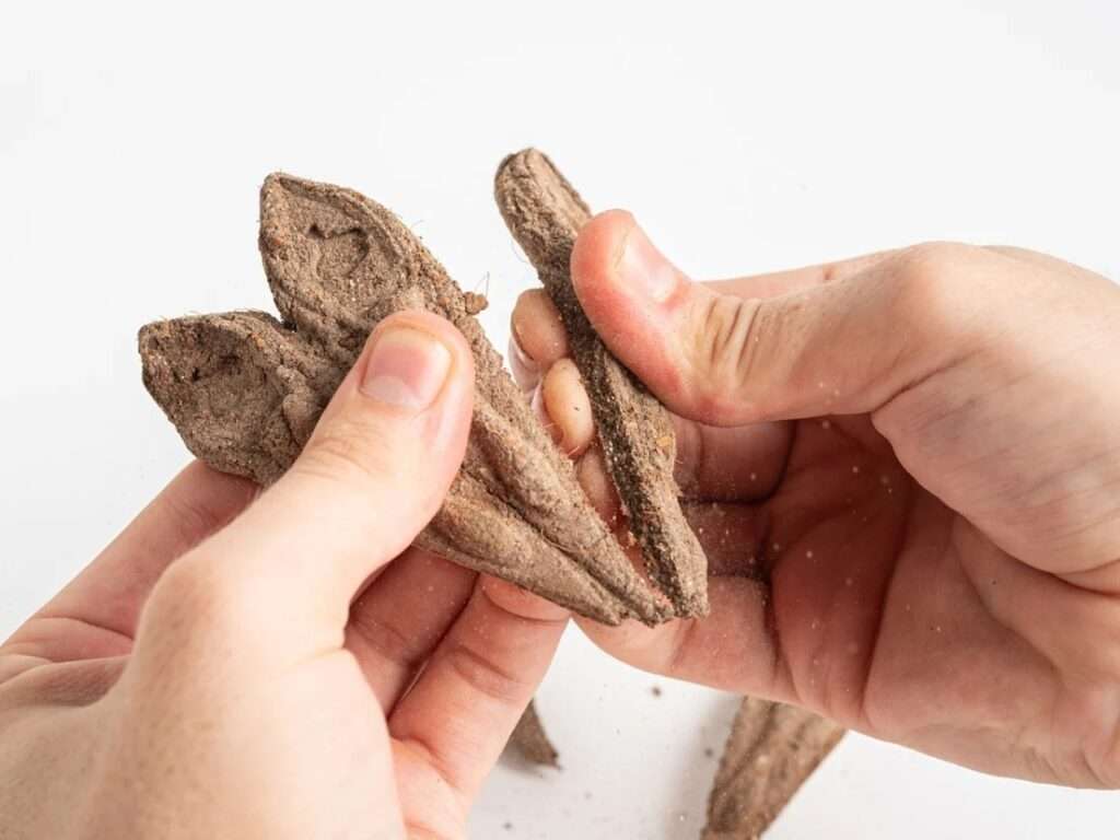 Close-up of human hands snapping a fan-shaped organic soil seed module into individual pointed pods, releasing fine dust particles against a white background.