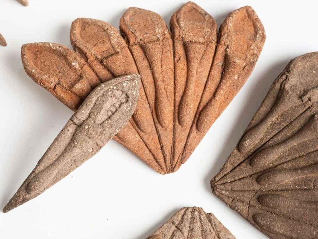 Top-down view focusing on a broken fan cluster and separate wedge-shaped seed modules made of compressed organic soil on a white surface.