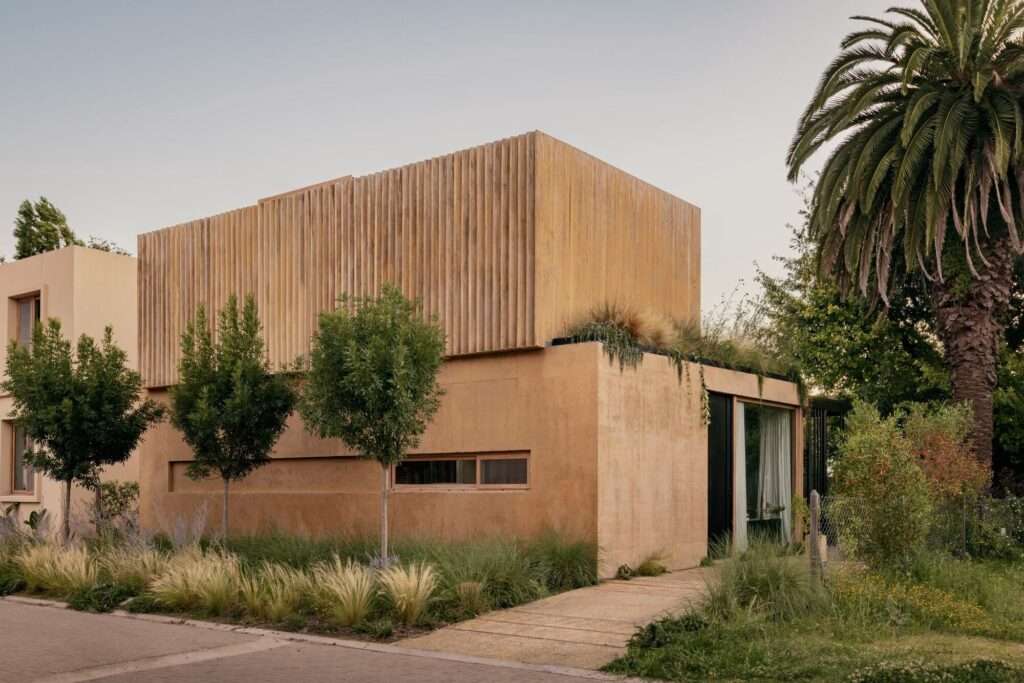 Full exterior view of JR House featuring textured concrete, vertical wooden screening, and an iconic palm tree in the garden.