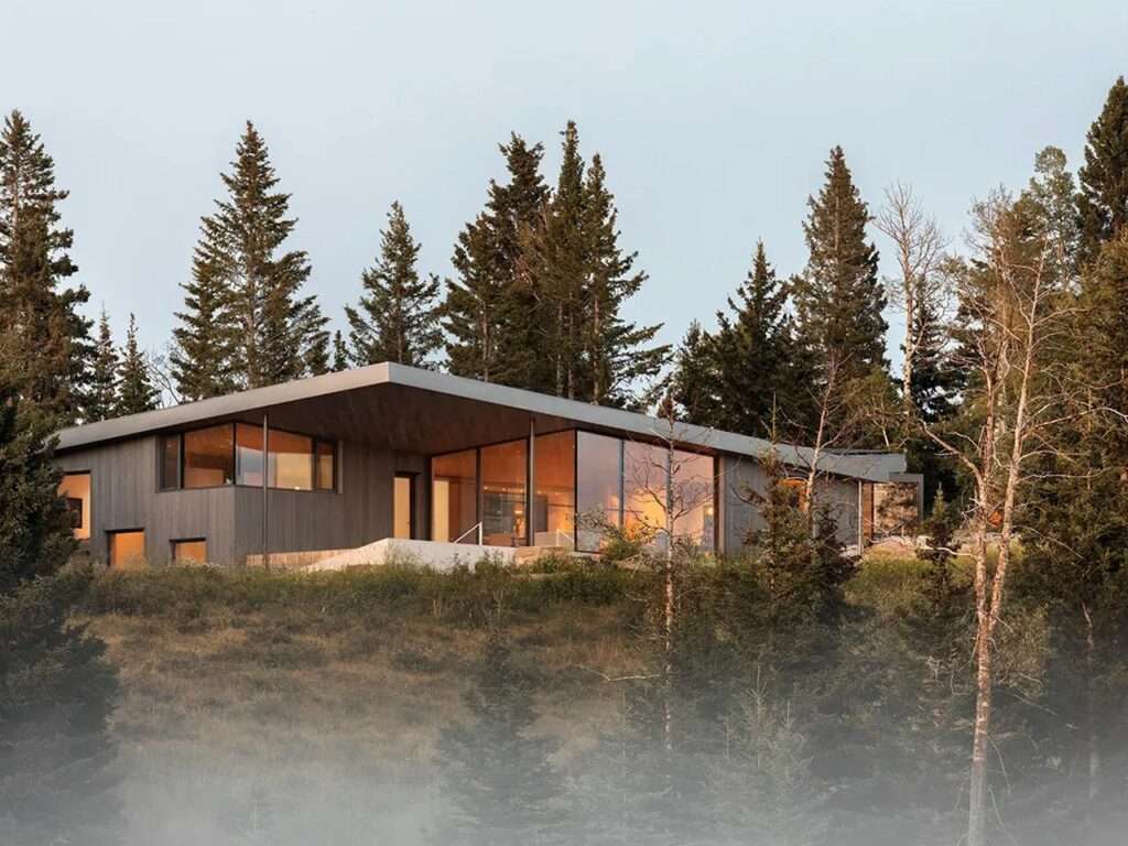 Night view of Cut Out House illuminated from within, nestled among tall pine trees under a clear dusk sky.