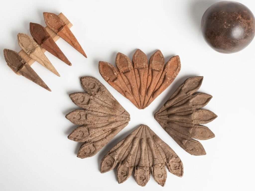 Symmetric flat lay arrangement of four fan-shaped Terra Seeds modules forming a circle, with isolated pods on a wooden bar and a dark sphere on a white background.