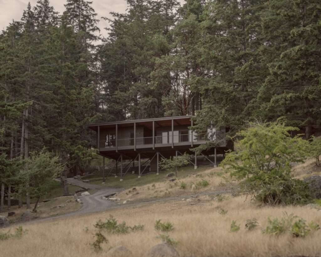 Distant view of a modern cabin suspended on steel pillars nestled within a dense forest on a golden grass hillside.