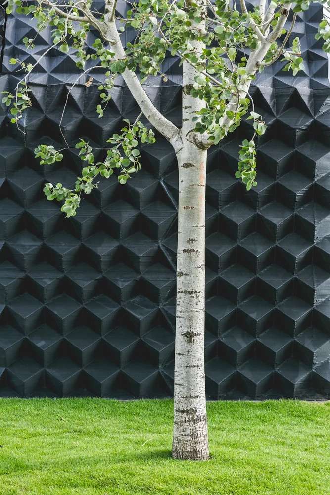 Close-up of a young poplar tree trunk in front of a black 3D-printed bio-plastic wall with a repetitive geometric pyramid texture.