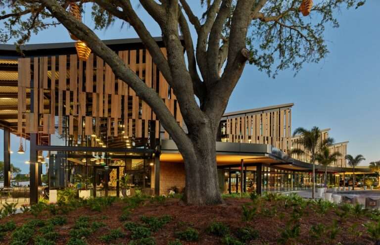 Evening twilight view of the curved facade of The Landing, lit from within and framed by an old-growth tree canopy.