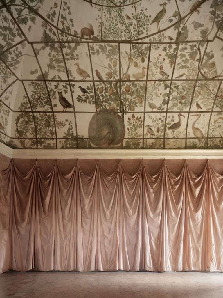 Classical Renaissance ceiling fresco inside the Bird Room (Stanza degli Uccelli) depicting a pergola covered with climbing vines, fruits, and exotic birds.