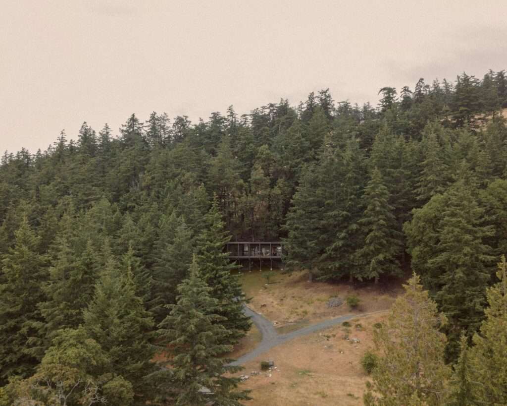 Aerial drone photograph showing Trestle Cabin completely enveloped by a vast and dense evergreen pine forest on a sloping mountain.