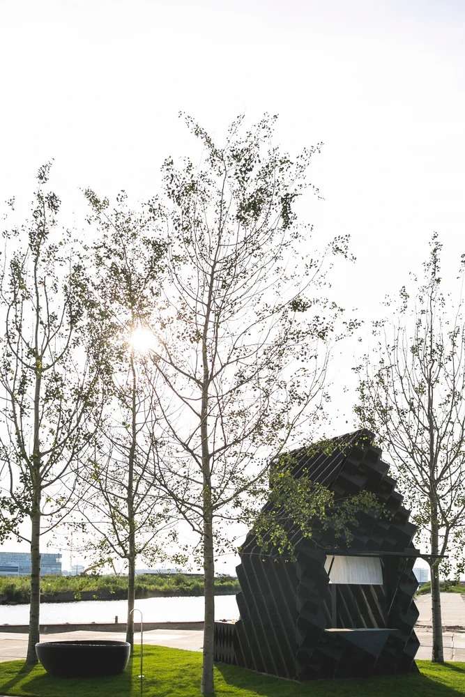 Side view of the black 3D-printed micro cabin surrounded by poplar trees with the sun shining through the leaves.