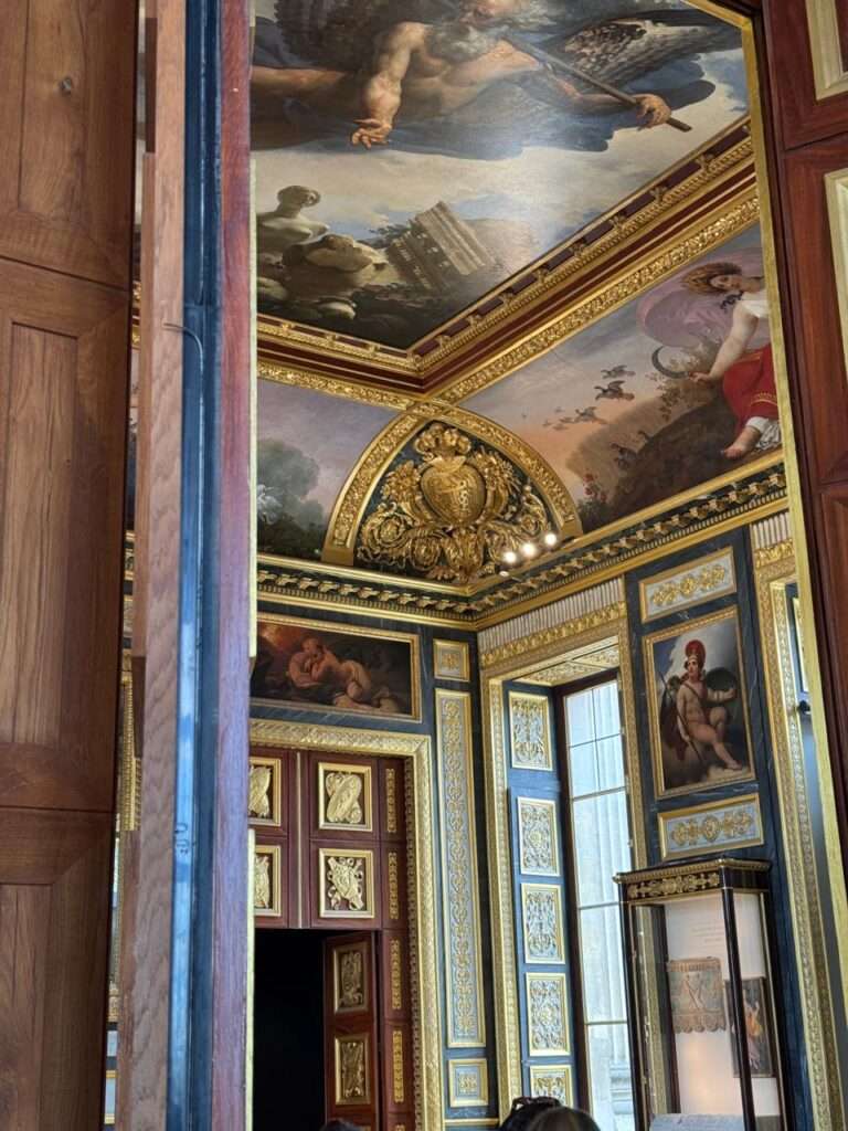 Ornate interior of a historic palace room featuring rich wood paneling, gilded stucco decorations, and classical fresco paintings on the ceiling.