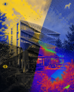 ArchUp minimalist concept graphic displaying a 2x2 grid of the same architectural building, showing how it is perceived through different visual spectrums (human eye, dog vision, cat night-vision, and bird ultraviolet/thermal sight) with pixelated glitch textures.