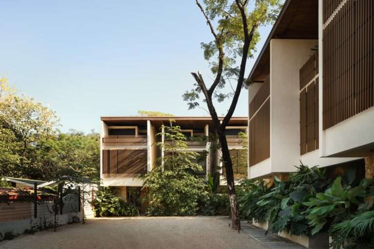 Warm interior living room of El Molino with a custom wooden bookshelf, minimalist green sofa, organic tree-trunk coffee table, and large sliding glass doors opening to a private balcony.