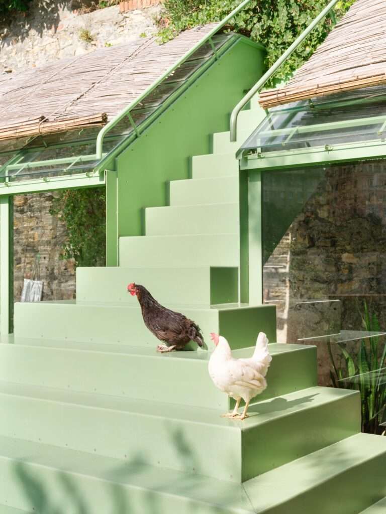 A close-up photograph focuses on the central green staircase of the greenhouse structure during the daytime. The staircase is flanked by the sloping glass and metal panels of the greenhouse roofs. Two chickens, one dark brown and one predominantly white with a red comb, stand on the steps, with a historical stone wall visible behind and through the transparent surfaces. Sunlight casts distinct shadows.
