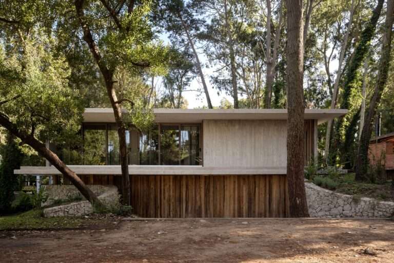 Exterior elevation of Maison A showing a horizontal concrete slab, vertical timber cladding, and a rustic stone foundation integrated with tall forest trees.