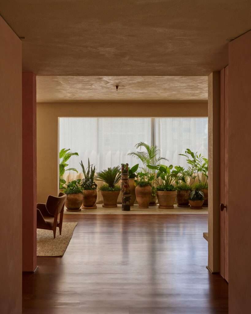 View through a pink-framed doorway into an indoor garden area with terracotta pots filled with lush green plants placed on a marble strip against a large window with sheer curtains.