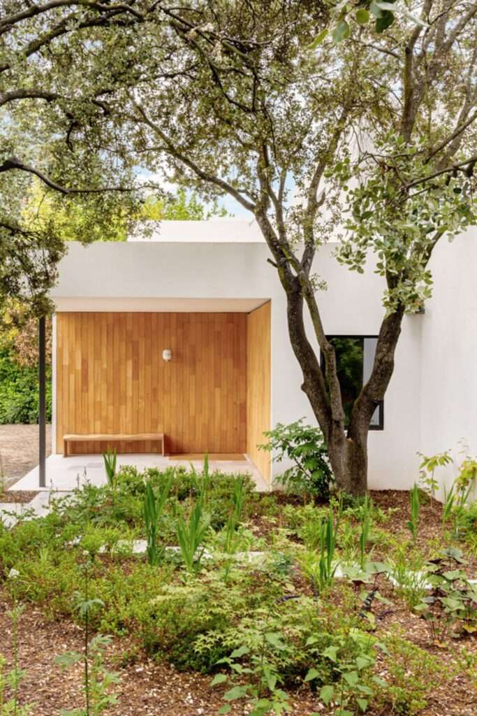 Close-up of the main entrance featuring vertical light-colored wood cladding, a minimalist wooden bench, a large existing tree, and a path through a native garden.
