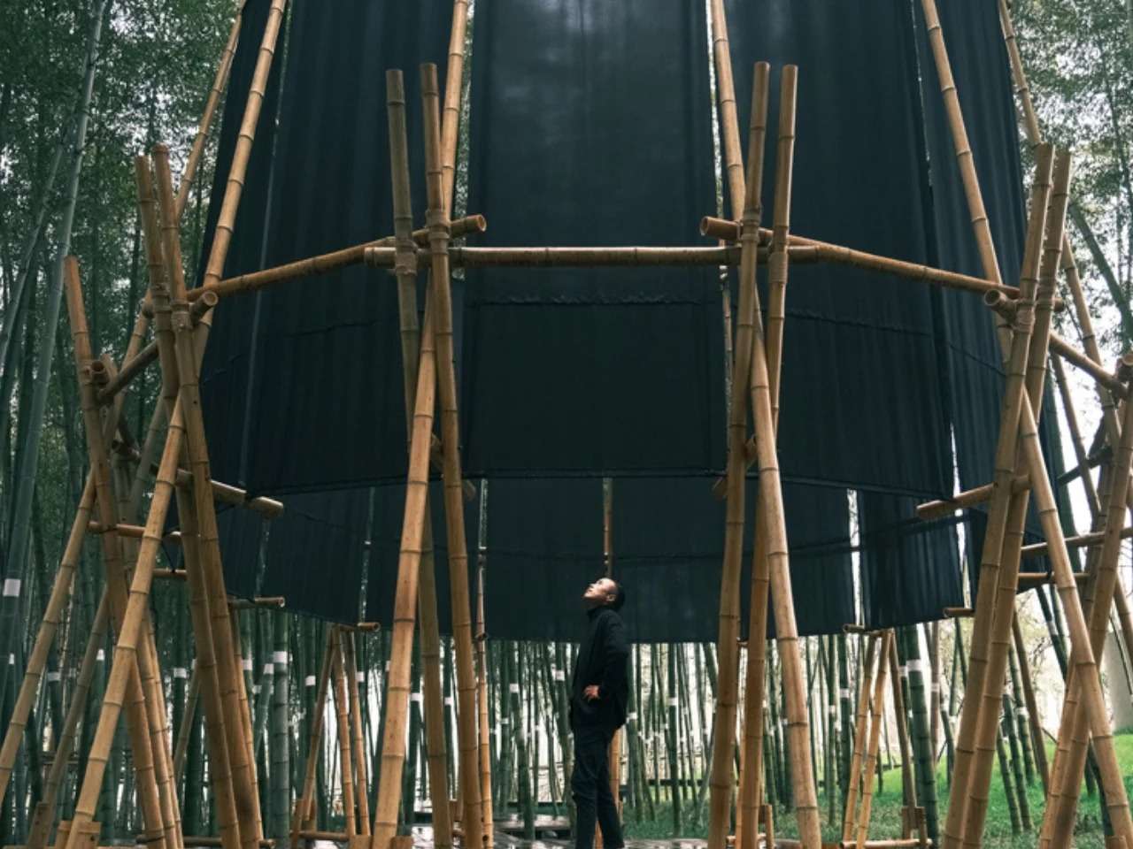 A visitor standing inside the temporary Veil Tower bamboo pavilion, looking up at the open vertical structure surrounded by dark textile membranes and a Moso bamboo forest.