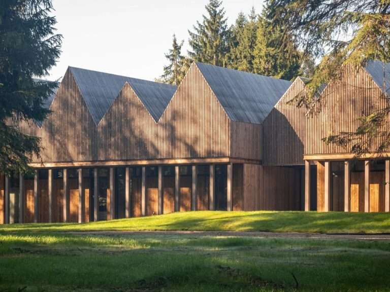 Steeply gabled wooden cabins clad in blackened Kebony pine at the Sanctum retreat in a Lithuanian forest clearing, showing the vertical wood slat facades mimicking nearby tree trunks.