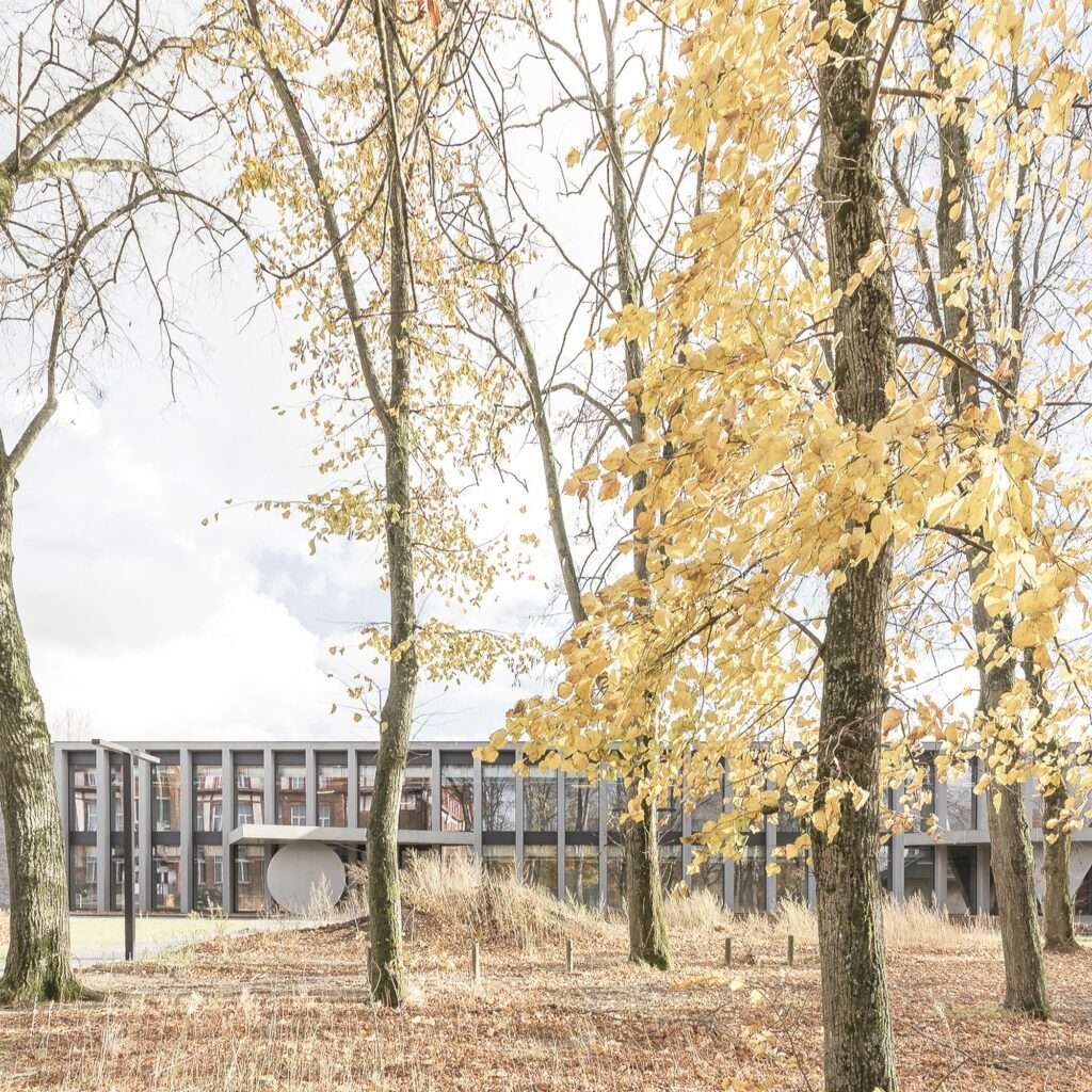 Linear facade of Cardinal Mercier College framed by golden autumn tree leaves and trunks.