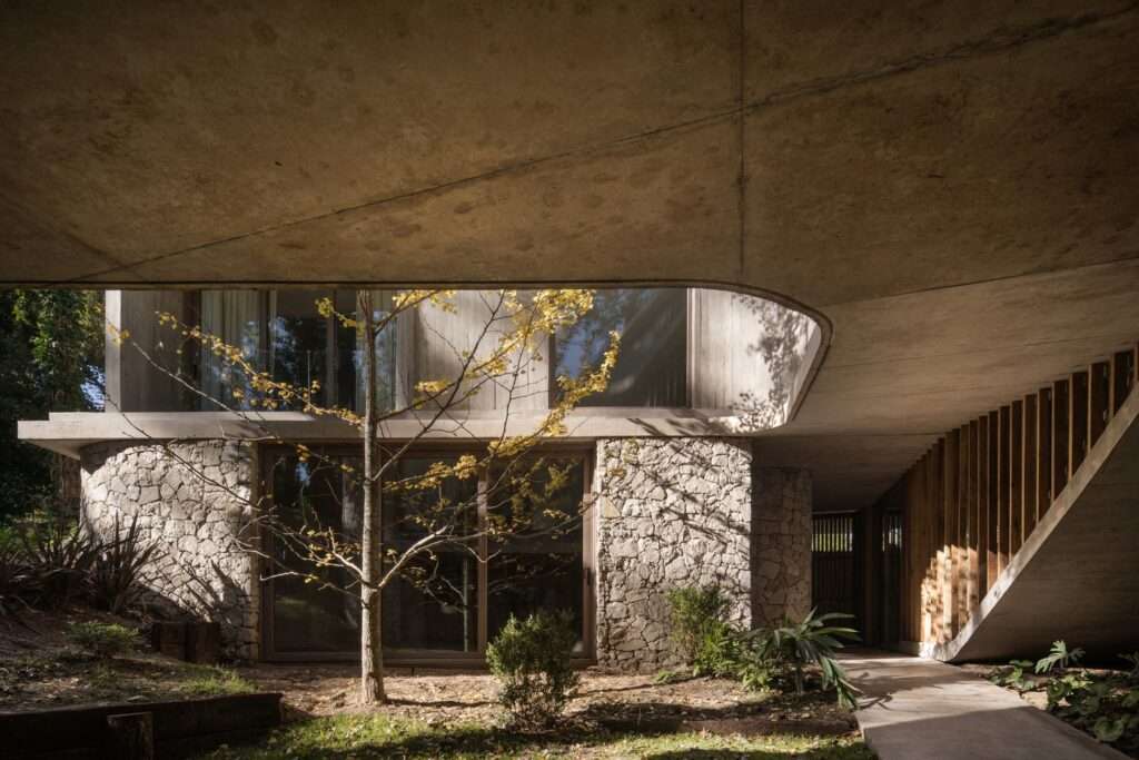 Curved board-formed concrete ceiling overhang framing a view of a stone-clad lower level, glass facade, and a young deciduous tree.