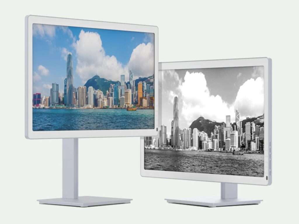 Comparison of the Bigme B251 Pro display showing color and monochrome modes for visual analysis.