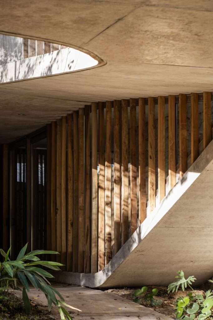 Close-up of a sweeping, curved concrete ramp flanked by a vertical timber slat screen filtering golden afternoon sunlight.