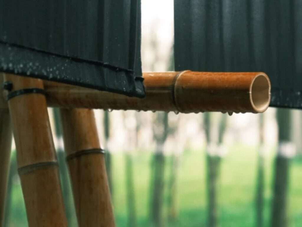 Extreme macro close-up of a cut raw bamboo pole showing its hollow inner core with water droplets dripping off the edge in the rain.